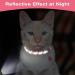 Shop Tagme Cat Neck Band 2-Pack | Reflective Safety Collar with ID Shield & Bell | Adjustable for Cats & Puppies | Pink 18-28 cm - Buy Online on GoSupps.com