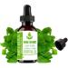 Buy Pure Herbs Melissa Oil (Melissa Officinalis) Essential Oils - 100 ml | International Shipping Available - Buy Online on GoSupps.com