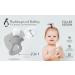 BABYLEDO Baby Fruit Pacifier with Teething Ring - Fox Brown | Safe Baby Teething Aid for Fruits & Vegetables - Buy Online on GoSupps.com