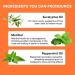4pcs Nasal Stick Portable Menthol Inhaler Refreshing Brings Positiveness And Gratitude Let You Relax Every Day Relieve Stress Enhance Concentration Relieve Nasal Stuffing - Buy Online on GoSupps.com