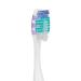 SmileGoods A362 Toothbrush 36 Tuft Soft Bristle with Gum & Tongue Cleaner - 72 Individually Packaged Assorted Colors - Buy Online on GoSupps.com