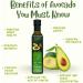 Palta Extra Virgin Avocado Oil - Cold Pressed & 100% Natural - Buy Online on GoSupps.com
