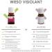 Buy High Dose Milk Thistle Extract 15ml | Liposomal Silymarin 99.5% | Vegan Detox Supplement | Best Bioavailability - Buy Online on GoSupps.com
