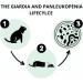 Accudoctor Test FPV Feline Panleukopenia + Giardia Lamblia Cats Rapid Test Feline Animals Veterinarian Animals Veterinarian Health for Cat Giardiasis Self Test Self Test Giardiasis Cat Cat kit feline - Buy Online on GoSupps.com