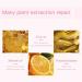 Hydrating Lip Glow Oil Set for Moisturizing and Plumping Lips - Fruit Extract Infused Lip Gloss for Dry Lip Care - Buy Online on GoSupps.com