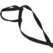 Buy Adjustable Bird Dishes & Leash for Parrots - PAPPAGIES-ACHRINE - Perfect for Gray Cockatoos & Black Cockatoos - International Shipping Available - Buy Online on GoSupps.com
