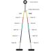 TheraBand Overhead Shoulder Pulley for Physical Therapy - Over the Door Pulley with Foam Handles - Color Coded Rope for Range of Motion - Rehabilitation Therapy System - Buy Online on GoSupps.com