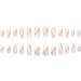 Justotry 24 Pcs Gold Wavy Short Stiletto False Nails - White French Press On Nails with Nail Glue for Women's Nail Art - Buy Online on GoSupps.com
