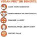 Genius Vegan Protein Powder Shake | Pea + Pumpkin Protein | Lean Muscle Building | Ideal Body Shake for Men & Women | Dairy Free - Buy Online on GoSupps.com
