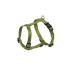 Nobby Harness Classic lime green chest: 20/35 cm width: 10 mm 1 piece lime green chest 20-35 cm width 10 mm
