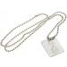 Buy Tottenham Hotspur FC Silver Plated Dog Tag & Chain Official Merchandise for Fans Worldwide - Buy Online on GoSupps.com