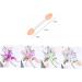 Beavorty 30pcs Eyeshadow Brush Makeup Applicators Disposable Makeup Small Eyeshadow Brush Eye Shadow - Buy Online on GoSupps.com