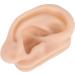 Buy Simulation Artificial Ear Model - Soft Silicone Ear Acupuncture Practice Model for Hospital Use | International Shipping Available - Buy Online on GoSupps.com
