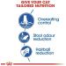 Royal Canin Feline Health Nutrition Indoor Appetite Control 4 kg  - Buy Online on GoSupps.com
