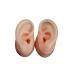 Simulation Silicone Ear Model 1 Pair Soft Silicone Artificial Ear Model Long Ear Canal Deep Ear Canal Learning Props for Ear Picking Practice