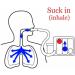 ALRIER Deep Breathing Respiratory Exerciser - Lung Health Breath Measurement System - Buy Online on GoSupps.com