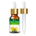 Salvia Arnica (Arnica Montana) Therapeutic Essential Oil by Salvia Amber Bottle 100% Natural Uncut Undiluted Pure Cold Pressed Undiluted Aromatherapy Premium Oil (30 ML with Dropper)
