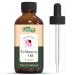 Echinacea (Echinacea angustifolia) Oil | Pure & Natural Carrier Oil for Skincare and Hair Care - 30ml/1.01fl oz