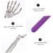 Buy Tovinanna 4-Piece Skull Back Scratch Massage Device - Portable Handheld Anti-Itch Massager for Ultimate Relief | International Shipping - Buy Online on GoSupps.com