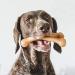 Benebone Wishbone Dog Chew Toy for Aggressive Chewers - Real Chicken Flavor | Large Size - International Shipping Available - Buy Online on GoSupps.com