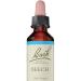 Bach Original Flower Remedies Beech Essences Vegan Formula Support Emotional Wellness Easy to Use 1 Dropper Bottle x 20 ml Natural Remedy