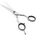 ZWILLING Professional Hair Scissors - Premium 140mm Hairdressing Shears for Sharp & Precise Cuts - International Shipping Available - Buy Online on GoSupps.com