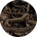 Lerbs & Hagedorn Vietnam Rainforest Kim Tuyen Organic 1 kg - Buy Online on GoSupps.com