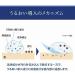 Shiseido Senka Twin Pack Perfect Whip 120g x 2 - Hydrating Foam Cleanser for Radiant Skin | Buy Online Internationally - Buy Online on GoSupps.com