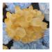 Crystal Rough 1pcs300-700g Big Size Natural Citrine Quartz Geode Druzy Topaz Crystal Cluster Specimen Home Decoration DIY Crafts Feng (Size : 400-500g)