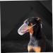 Kisangel 2pcs Cat Muzzle Cat Dog Muzzles Cat Head Muzzle Transparent Muzzle Cat Pp - Buy Online on GoSupps.com