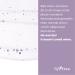 ISNTREE Onion Newpair B5 Ampoule 50ml | Blemish Care & Calming Serum | Mild Watery Formula for Radiant Skin | International Shipping Available - Buy Online on GoSupps.com