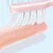 Zumaha Ultra-Like Compact Toothbrush 6-Pack for Adults & Juniors - Ergonomic Design & Travel-Friendly - Buy Online on GoSupps.com