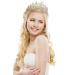 TOBATOBA Gold Crown: Crystal Princess Tiara for Women - Perfect for Wedding, Quinceanera, Prom & Cosplay - Buy Online on GoSupps.com