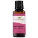 Plant Therapy Honeybell Essential Oil Blend 30 mL (1 oz) 100% Pure Undiluted Therapeutic Grade