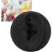 Artificial Black Left Ear Display Model | Professional Soft Teaching Tool with Round Base - Buy Online on GoSupps.com