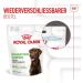 ROYAL CANIN Digestion Chews Adult Supplements Double Pack 2 x 160 g Supplementary Feed for Adult Dogs to Support Normal Digestion and Intestinal Flora - Buy Online on GoSupps.com
