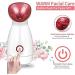 zhanghong Nano Ionic Facial Steamer Household Ion Water Replenishing Instrument Warm Mist Atomizer Humidifier Moisturizing Face Spa Steamer One Button Intelligence Control - Buy Online on GoSupps.com