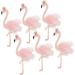 CAXUSD 6pcs Sprinkles Cake Decorations Flamingo Cupcake Picks Candle Decor Hawaiian Decorations Cake Insert- Cake Ornament Cake Topper Cake Insert Card Happy Birthday Banquet Toothpick Pink 6pcs - Buy Online on GoSupps.com