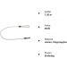 Shop Basic Rope Dog Leash 10mm - 27 Colors 7 Lengths (1.20m White) - International Shipping - Buy Online on GoSupps.com