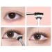 Dolly Mascara Fan Brush Set for Lashes and Eyebrows - 4PCS Makeup Tools - Buy Online on GoSupps.com