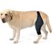 SEWOART Knee Paw Puppy Knee Pads Dog Elbow Protector Pet Injury Supply Balm Hind Leg Care XL 1 - Buy Online on GoSupps.com