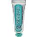 Toothpaste 25 ml, anise mint 25 ml