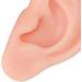Silicone Ear Model for Earrings - Flexible Simulation Earmodel for Jewelry Display & Acupuncture Training - Lightweight Teaching Tool - Buy Online on GoSupps.com