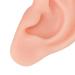 Silicone Reusable Ear Piercing Practice Model - Light Skin Color - Buy Online on GoSupps.com