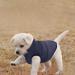 ASENKU Windproof Waterproof Dog Winter Coat | Warm Fleece Lined Jacket for Small Medium Large Dogs | M Chest 15-17.3 Length 12.6 Blue - Buy Online on GoSupps.com
