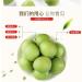 Green Plums 120g/Bag Sour and Sweet Crispy Small Plums Juicy Plums Snack Dried Prunes Dried Fruit Peach Preserved Fruit Snacks Food Office Desserts Vegan Chinese Casual Snacks Gift Pack (10bag) - Buy Online on GoSupps.com