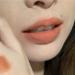  BADALO Velvet Mist Water Mist Lip Mud Soft Silky Matte Vegan White Lip Gloss Non-stick Lip Glaze Lipstick (Color : 2 Smoked Chestnut) - Buy Online on GoSupps.com
