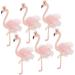 6pcs Birthday Cake Topper Cake Insert Decoration Happy Birthday Topper Hawaiian Cakes Toppers Flamingo Candles Cupcake Ornament Fruitcake Flash Powder Banquet Cute Pink Pink 6pcs - Buy Online on GoSupps.com