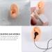 Healifty 2pcs Silicone Fake Ear Models for Study and Practice - Earring Sample Display Props (Assorted Color) - Buy Online on GoSupps.com