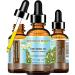 CHATEAU COSMETICS BOTANICAL BEAUTY KIWI SEED OIL. 100% Pure/Natural/Undiluted/Virgin Cold Pressed Carrier oil. 0.5 Fl.oz.- 15 ml